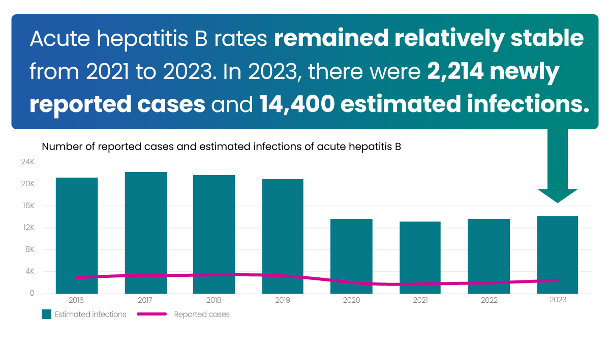 Acute hep B rates remained relatively stable. There were 2,214 newly reported cases and 14,400 estimated infections.