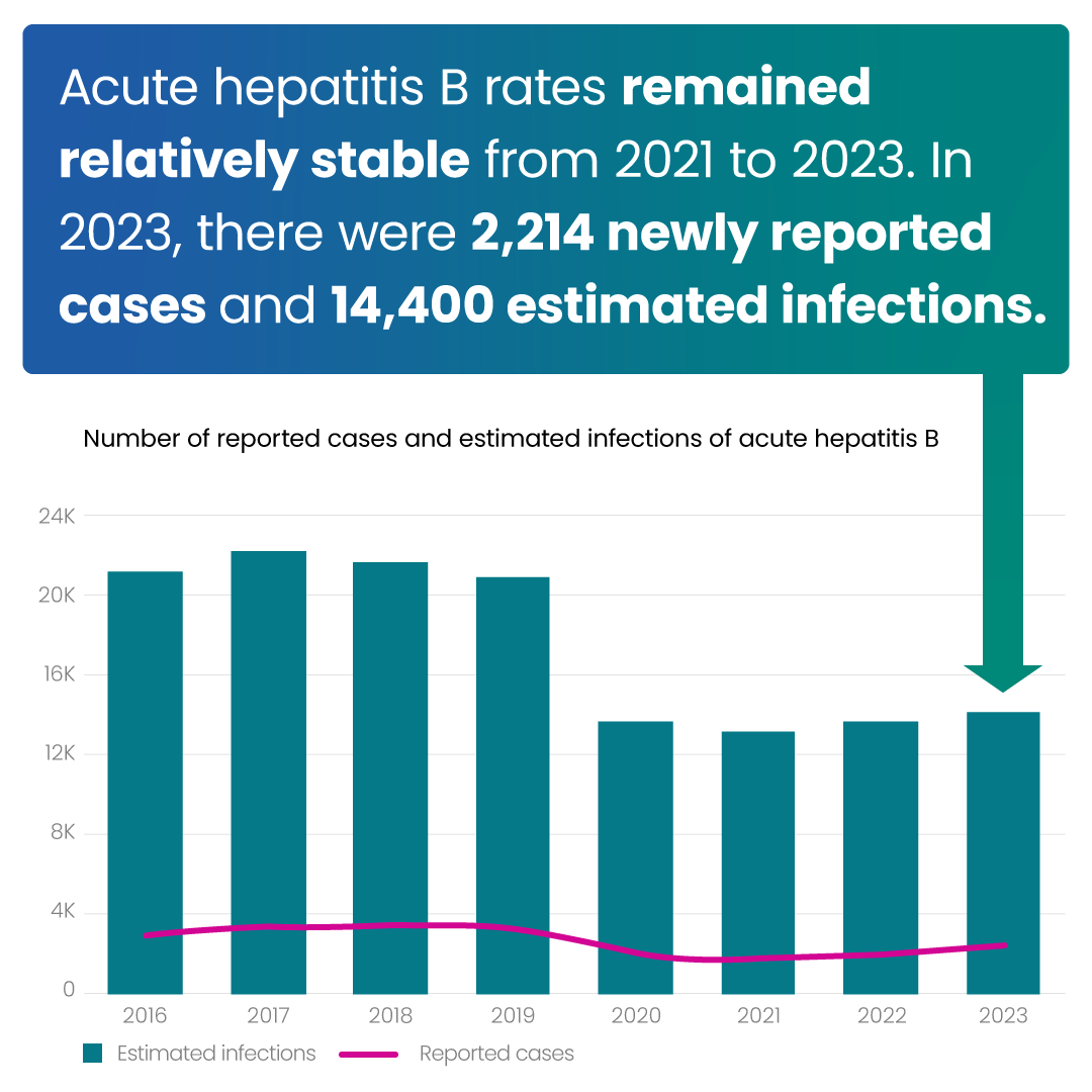 Acute hep B rates remained relatively stable. There were 2,214 newly reported cases and 14,400 estimated infections.