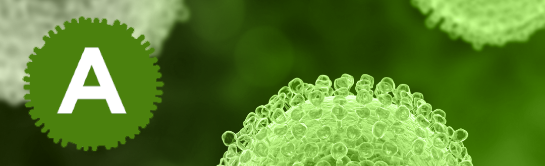 HepatitisA_LandingPage Hepatitis A, 2021 banner