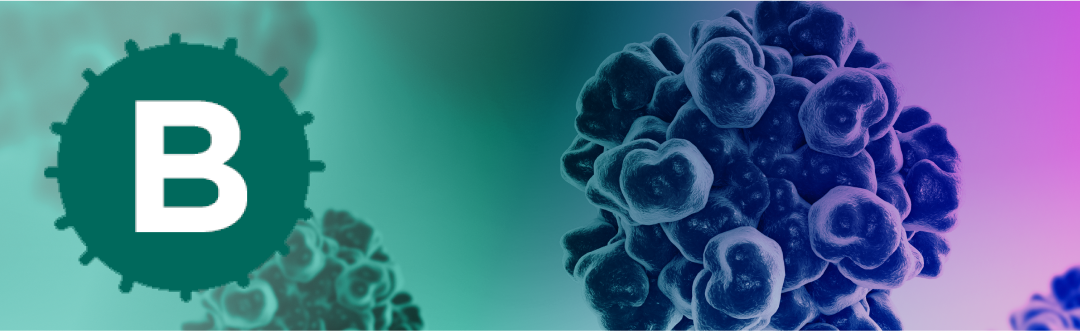Surveillance-Banner-1080x330-B Hepatitis B, 2020 banner