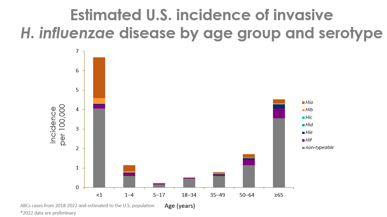 Hifigure3.png This figure shows estimated incidence rates (per 100,000 persons) of invasive H. influenzae disease by serotype and age in the United States from 2018 through 2022. Children younger than 1 year old and adults older than 65 years old have the highest incidence of H. influenzae disease. Across age groups, nontypeable bacteria cause the highest incidence of H. influenzae disease.