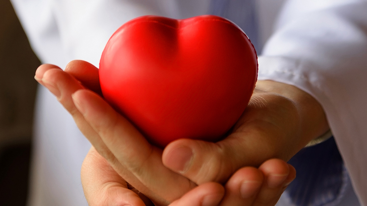 — title missing — Person holding heart