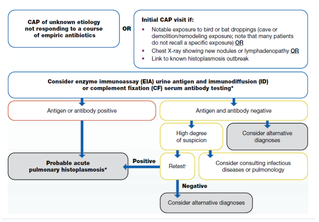 Image of histoplasmosis algorithm