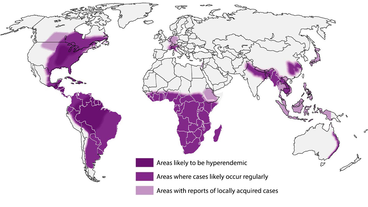 Approximate areas with the presence of Histoplasma worldwide