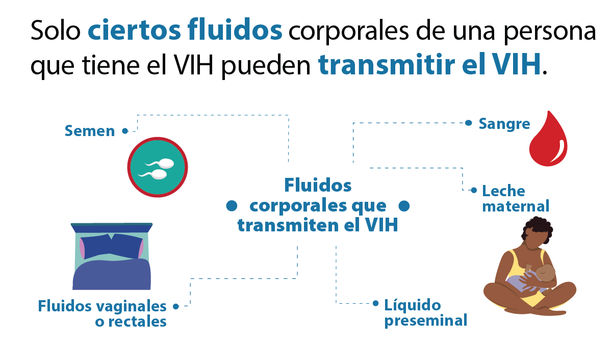 HIV Transmission Imagen de fluidos corporales que transmiten el VIH.