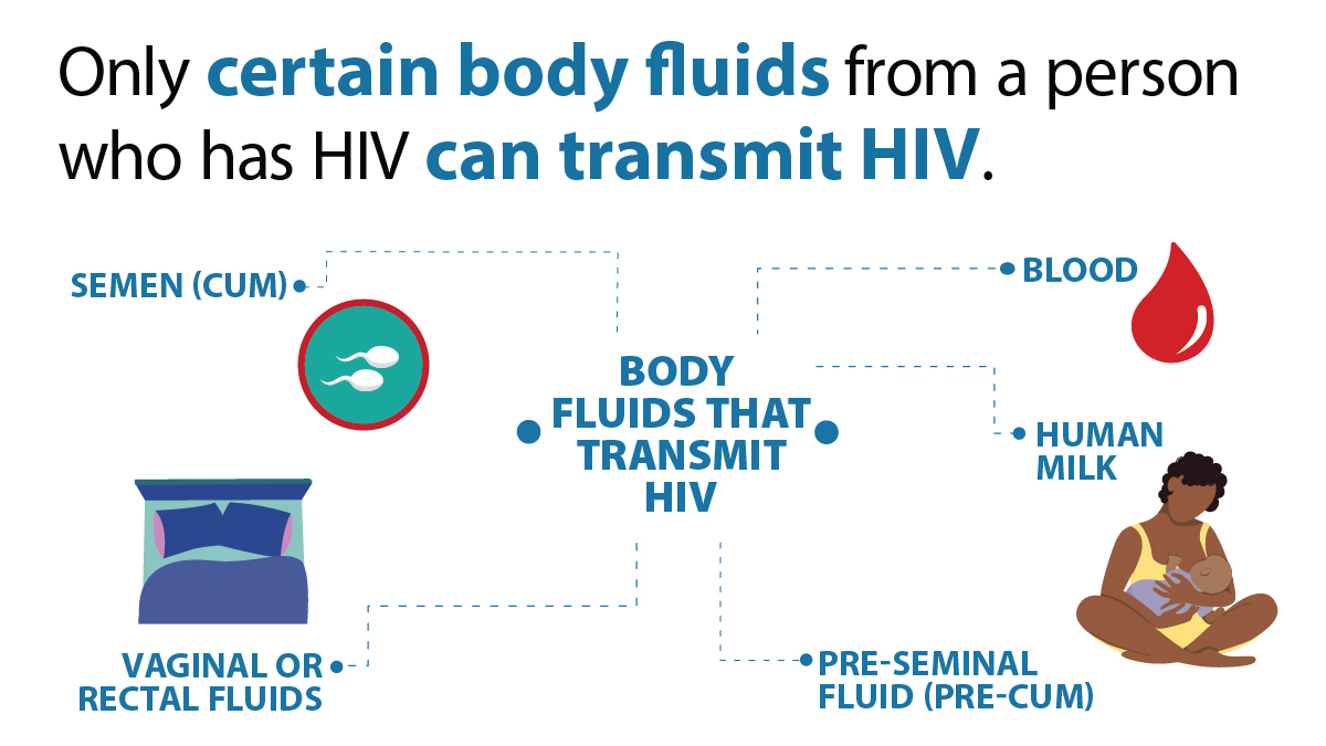 Image of body fluids that transmit HIV.