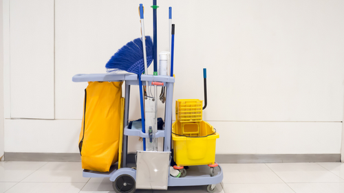 cleaning bucket on rollers with mops and brooms