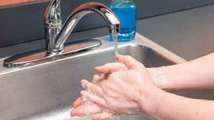 clean-feeding-items-1 Person washing their hands.