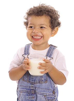 cows-milk A 12 month old holding a small pitcher of cow’s milk. At 12 months old you can start to give your child cow’s milk that has been pasteurized and fortified with vitamin D.