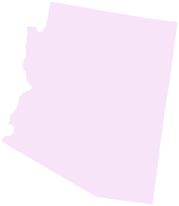 Arizona State of Arizona