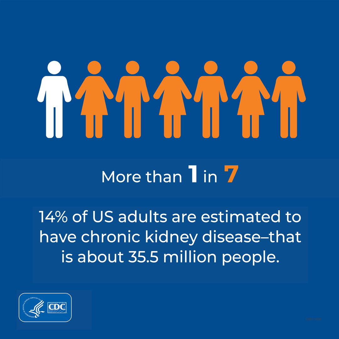 social media graphic: more than 1 in 7 adults is estimated to have CKD. That's about 35.5 million people.