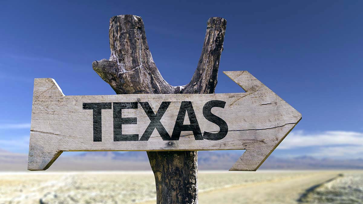 Harris County Texas Texas state sign in the shape of an arrow