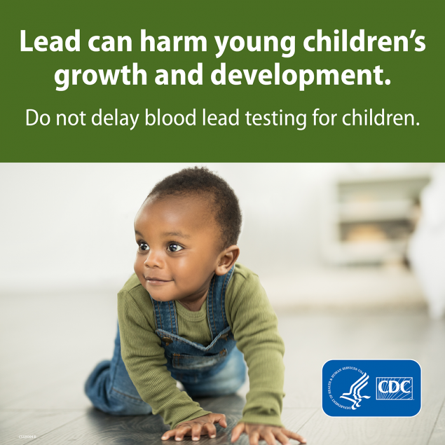 Baby floor Young boy crawling on the floor with a green banner on the top that reads "Lead can harm young children's growth and development. Do not delay blood lead testing for children."