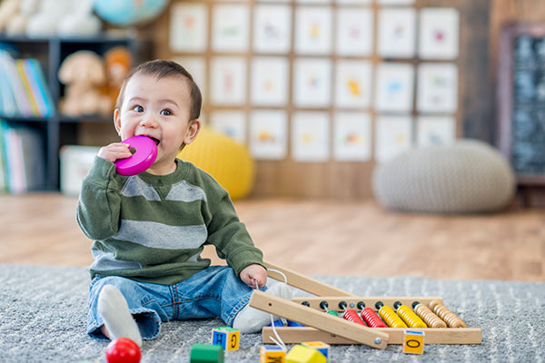 boytoddlertoyinmouth.jpg Baby boy sitting and putting a toy in his mouth.
