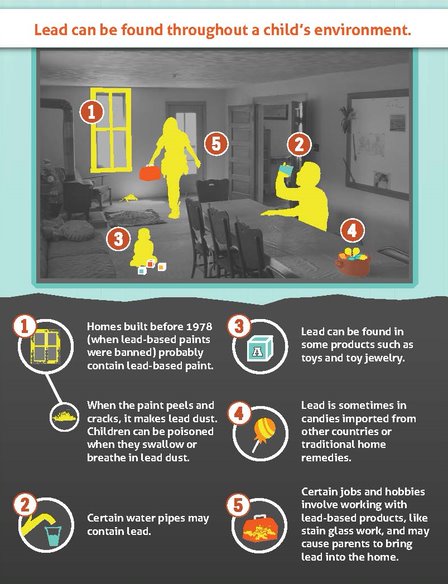 sources.jpg Lead in the Environment Infographic