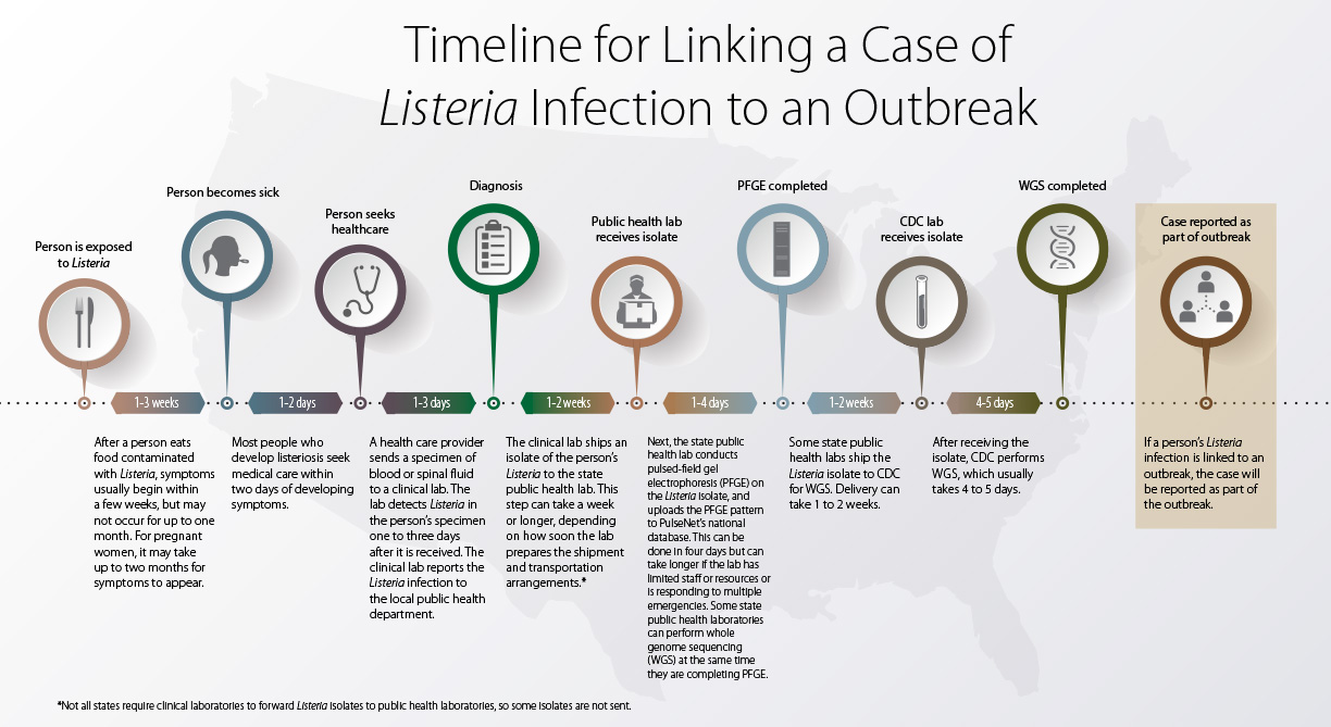 Timeline for linking a Listeria infection to an outbreak, from when a person is exposed to when a case is reported.