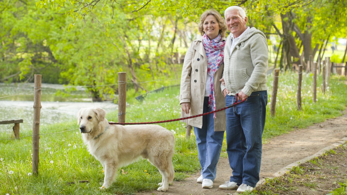 Couple With Dog a couple walking their dog