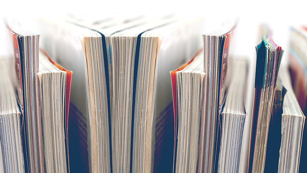 Lupus Publications Row of untitled paperback journals.
