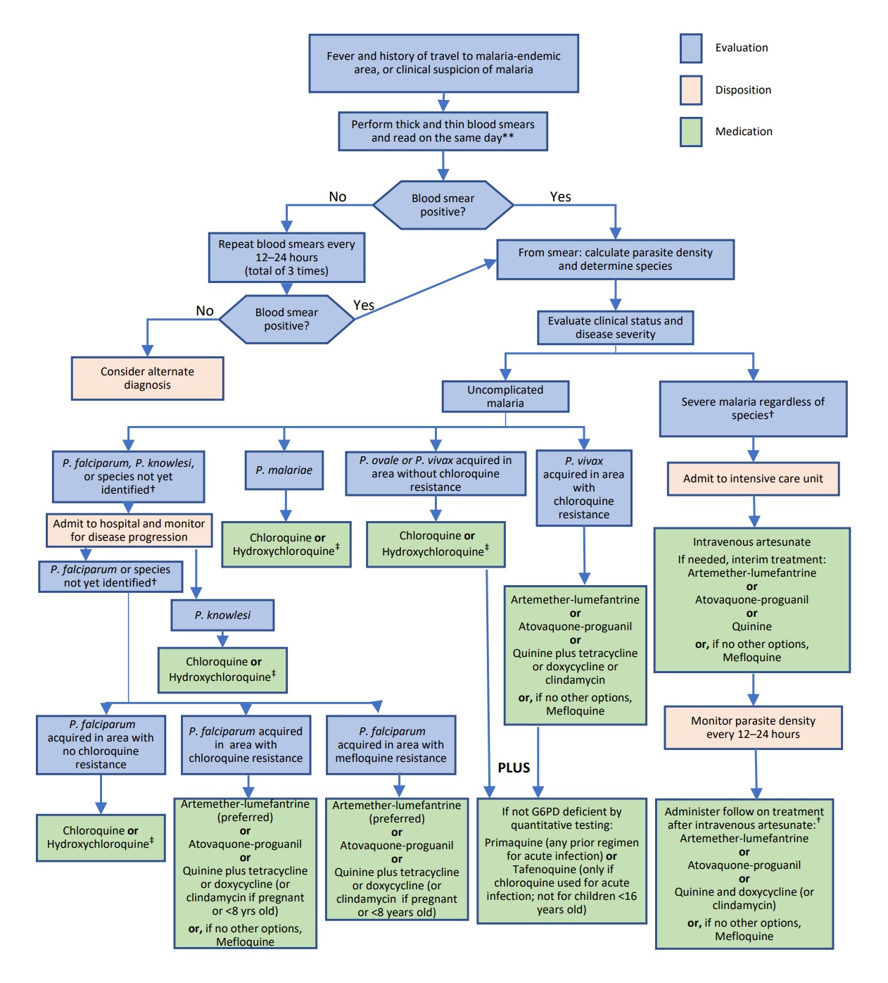 Algorithm for Diagnosis and Treatment of Malaria in the United States