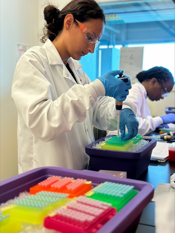 PHEFA Gloria Raise, currently a senior at New Jersey Institute of Technology, works in the lab and pipets during the PHEFA internship.