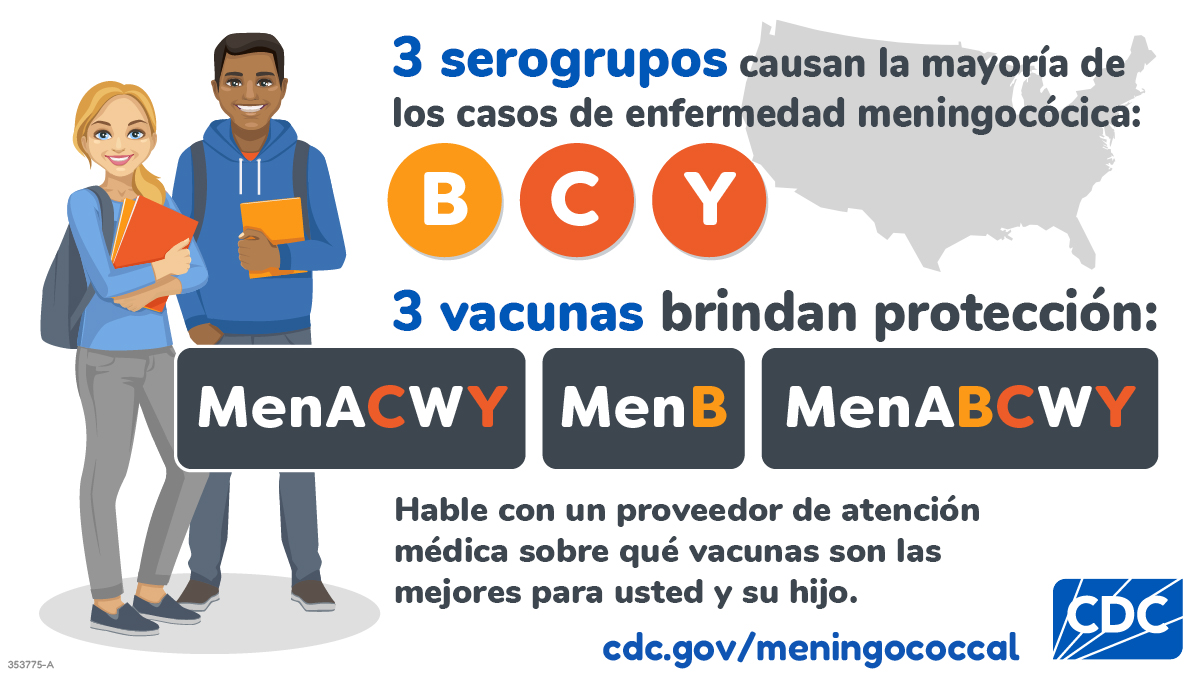 Los serogrupos B, C e Y. Estos causan la mayoría de los casos de la enfermedad meningocócica en los EE. UU. Las vacunas MenACWY, MenB y MenABCWY proporcionana la mayor protección.