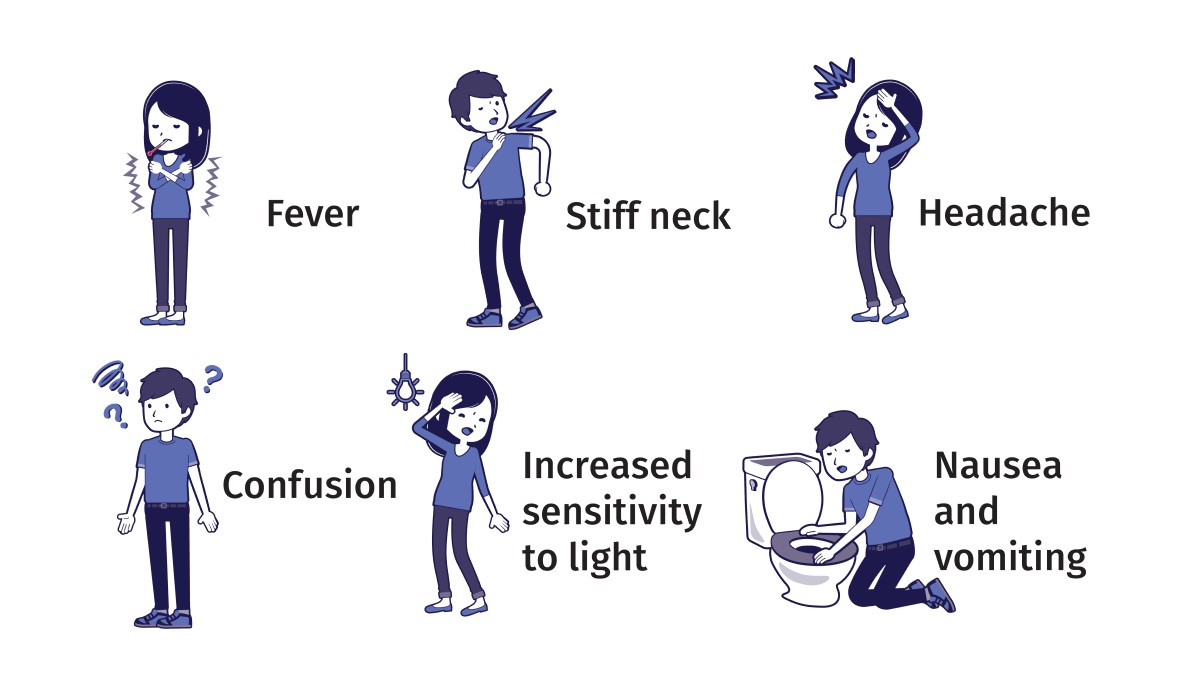 Meningitis symptoms Illustration of common symptoms of meningitis.