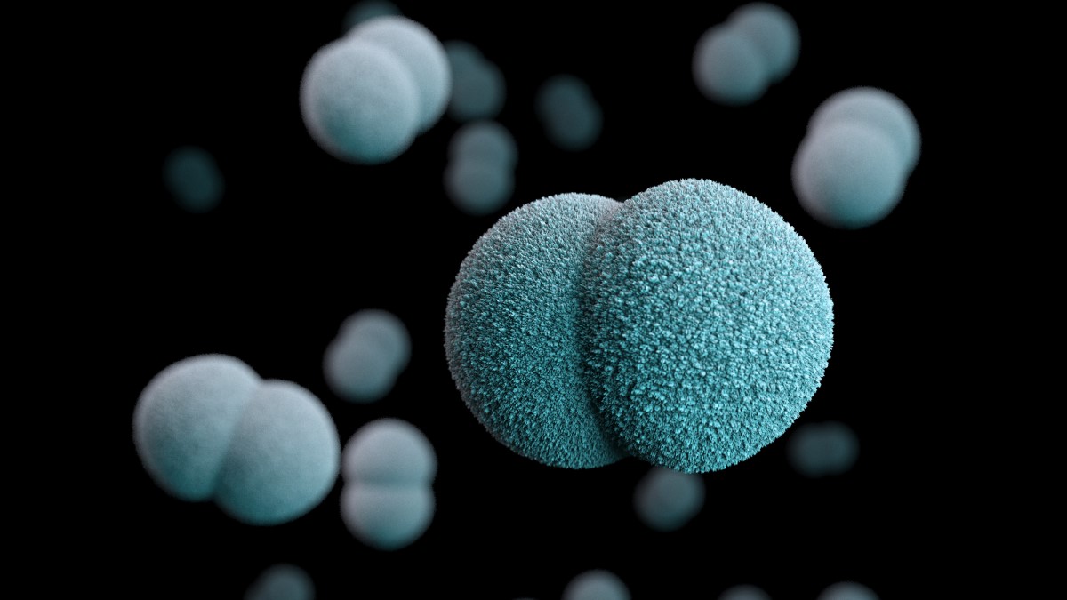 — title missing — This illustration depicts a three-dimensional (3D) computer-generated image of a number of diplococcal, Gram-negative Neisseria meningitidis bacteria.