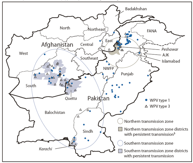 The figure shows wild poliovirus (WPV) cases, by type and province or region in Afghanistan and Pakistan in 2009. In Afghanistan, 38 WPV cases (15 WPV1 and 23
WPV3) were reported during 2009, compared with 31 WPV cases (25 WPV1 and six WPV3) in 2008.