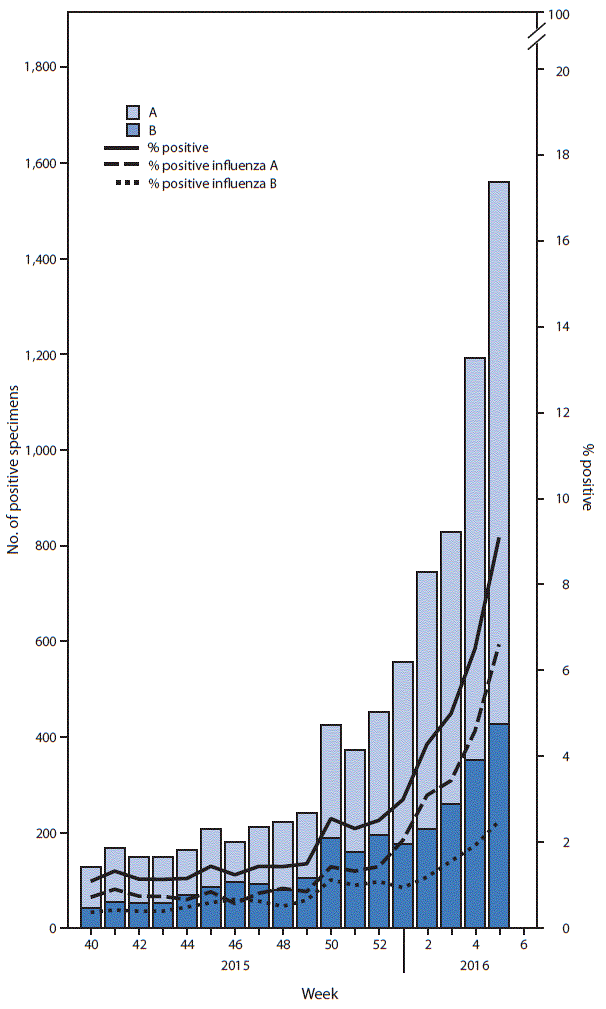 m6506a3f1.gif The figure above is a bar chart showing the number and percentage of respiratory specimens testing positive for influenza reported by clinical laboratories, by influenza virus type and surveillance week, in the United States during October 4, 2015–February 6, 2016.