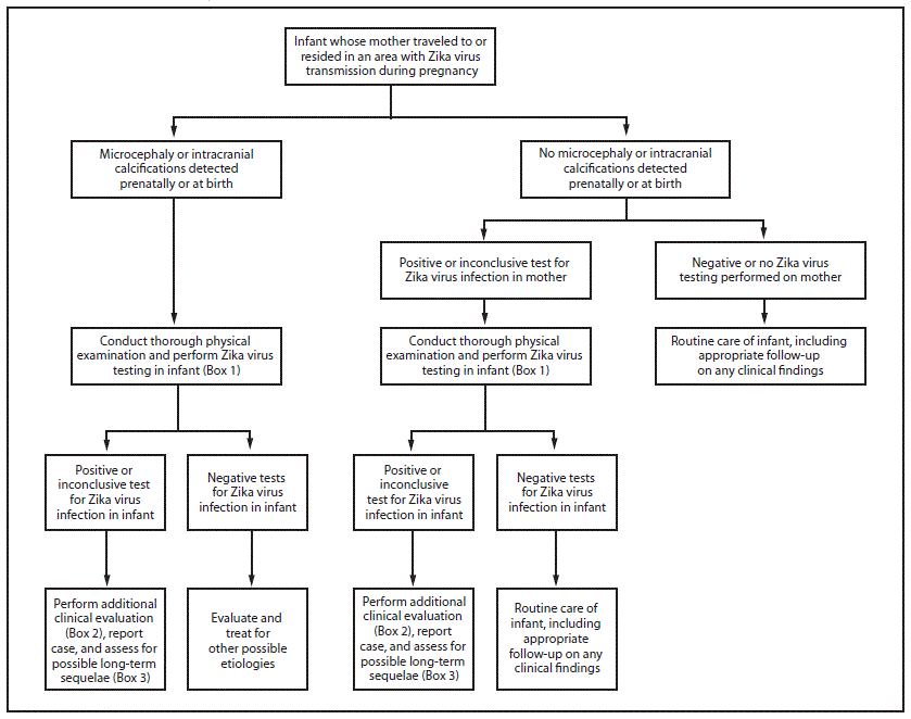 m6507e1f.gif The figure above is a flowchart showing updated interim guidance for a testing algorithm for the evaluation and testing of infants whose mothers traveled to or resided in an area with ongoing Zika virus transmission during pregnancy.