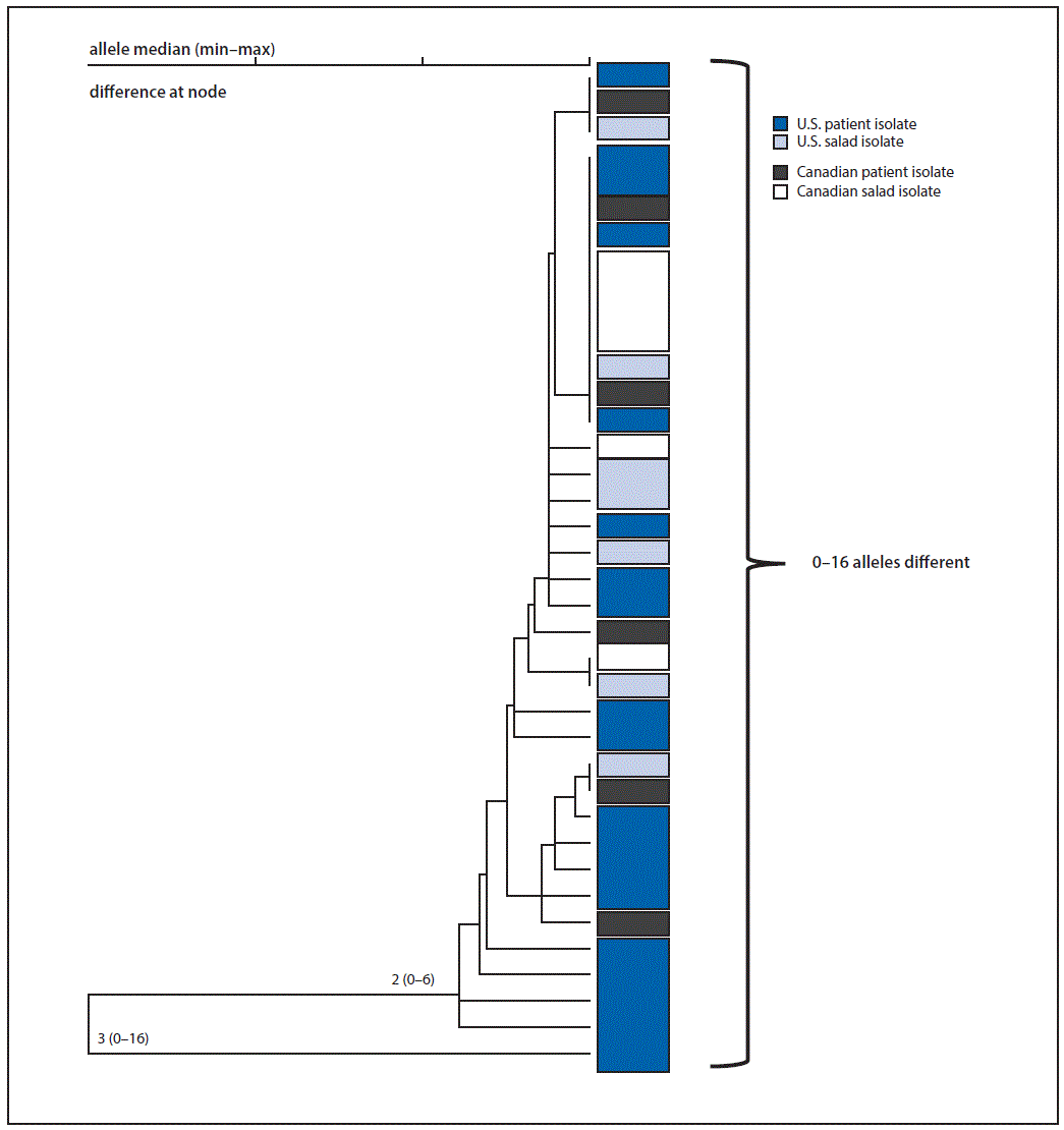m6533a6f.gif The figure above is a phylogenetic tree by whole-genome multilocus sequence typing of Listeria monocytogenes isolates from patients and salad products with indistinguishable pulsed-field gel electrophoresis patterns in the United States and Canada during July 5, 2015–January 31, 2016.