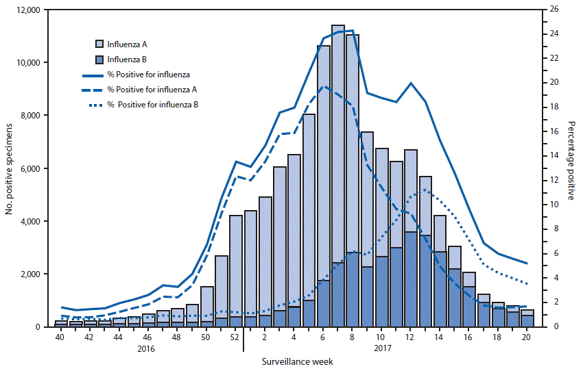 m6625a3f1 The figure above is a combination line and bar chart showing the number and percentage of respiratory specimens testing positive for influenza reported by clinical laboratories in the United States during October 2, 2016–May 20, 2017, by influenza virus type and surveillance week.