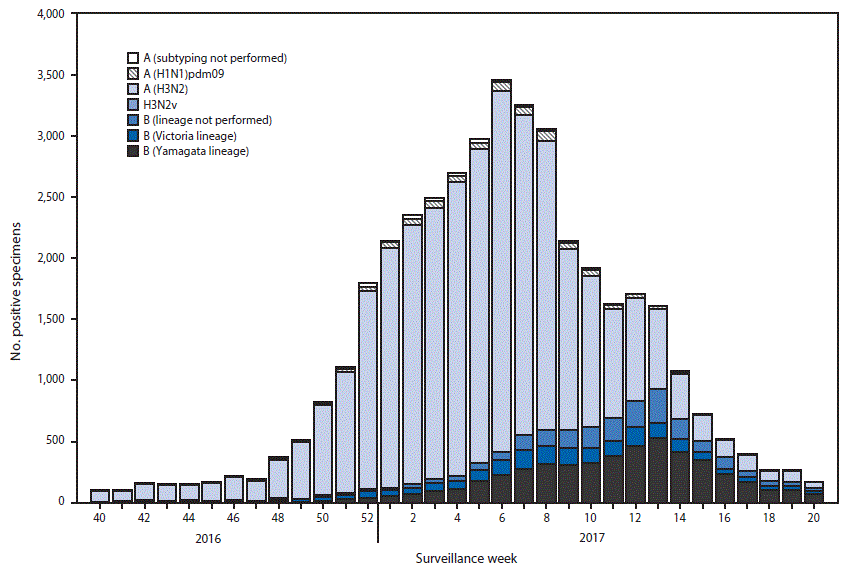 m6625a3f2 The figure above is a bar chart showing the number of respiratory specimens testing positive for influenza reported by public health laboratories in the United States during October 2, 2016–May 20, 2017, by influenza virus type, subtype/lineage, and surveillance week.