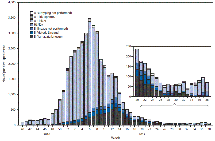 m6639a3f2 The figure above is a bar chart showing the number of respiratory specimens testing positive for influenza reported by public health laboratories, by influenza virus type, subtype/lineage, and surveillance week in the United States during October 2, 2016–September 23, 2017.