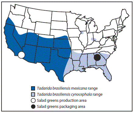m6642a7f The figure above is a map of the United States showing the distribution of Tadarida brasiliensis mexicana and T. brasiliensis cynocephala bat species in areas of production and packaging of salad greens during 2017.