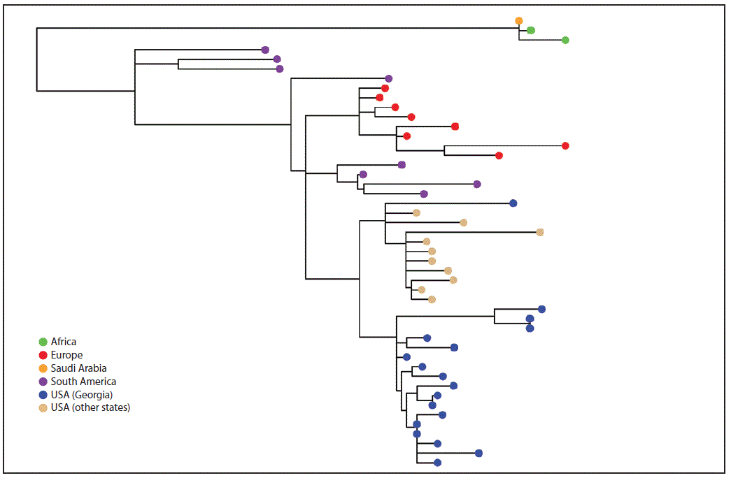 mm6732a5-F2 The figure above is phylogenetic tree showing the whole genome maximum likelihood phylogeny of N. meningitidis serogroup W clonal complex 11 isolates from Georgia, other U.S. states, Europe, Africa, and South America during 2006–2016.