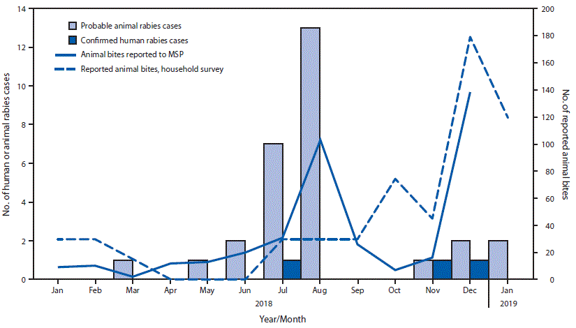 mm6832a5-F The figure is a combination bar chart and line graph showing the number of confirmed human rabies cases and probable animal rabies cases and reported animal bites in Pedernales, Dominican Republic, during January 2018–January 2019.