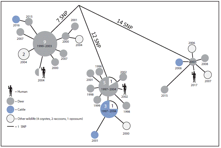 mm6837a3-F The figure is a diagram illustrating a phylogenetic analysis of the most closely related Mycobacterium bovis isolates associated with human tuberculosis cases in Michigan, during 2002–2017.