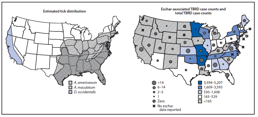 mm685152a2-F2 The figure consists of two maps, one showing the estimated geographic range of Amblyomma americanum, Amblyomma maculate, and Dermacentor occidentalis, and the other showing the number of eschar-associated illnesses, compared with total reported tickborne rickettsial diseases in the United States during 2010–2016.