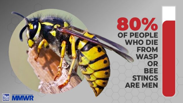 Bee Quick Stat Faceboo The figure shows a percentage of people who die from wasp or bee stings