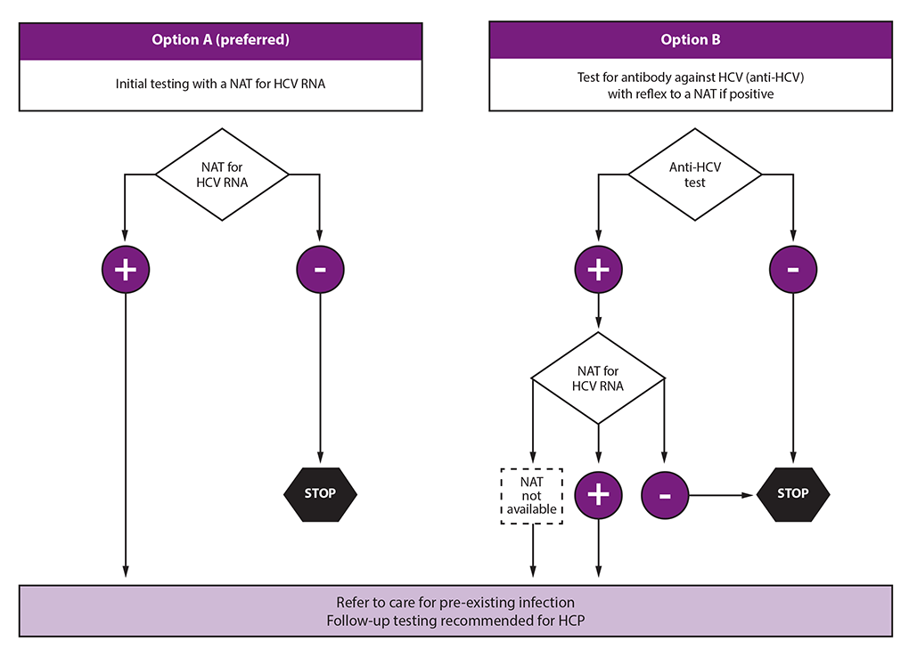 rr6906a1-F1 Figure is a flow diagram for testing of source patients after potential exposure of health care personnel to hepatitis C virus. The flow diagram reflects 2020 CDC guidance for the United States. Two options for testing of the source patient are presented. Option A, which is preferred, is to test with a nucleic acid test for hepatitis C virus RNA. Option B is to test for anti-hepatitis C virus with reflex to a nucleic acid test if positive. A source patient found to be positive for hepatitis C virus RNA should be referred to care.