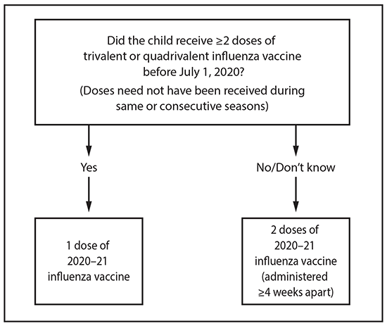 Prevention and Control of Seasonal Influenza with Vaccines This figure is a flow chart describing the influenza vaccine dosing algorithm for children aged 6 months through 8 years for the 2020–21 influenza season in the United States. If the child has received 2 or more doses of trivalent or quadrivalent influenza vaccine before July 1, 2020 (doses need not have been given during same or consecutive seasons), the child should receive 1 dose of 2020–21 influenza vaccine. If the child has not received 2 or more doses of trivalent or quadrivalent influenza vaccine before July 1, 2020, or if it is not known whether the child has received vaccine, the child should receive 2 doses of 2020–21 influenza vaccine (administered 4 or more weeks apart). For children aged 8 years who require 2 doses of vaccine, both doses should be administered even if the child turns age 9 years between receipt of dose 1 and dose 2.
