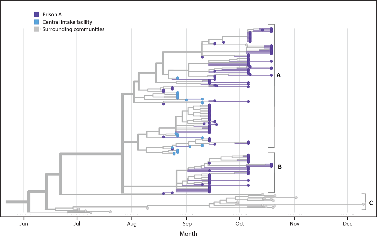 Rapid Spread of SARS-CoV-2 in a State Prison after Introduction by Newly Transferred Incarcerated Persons — Wisconsin, August 14–October 22, 2020 The figure is a phylogenetic tree showing genetic distance between available SARS-CoV-2 specimens from prison A, a central intake facility, and the surrounding communities in Wisconsin, during June–December 2020.