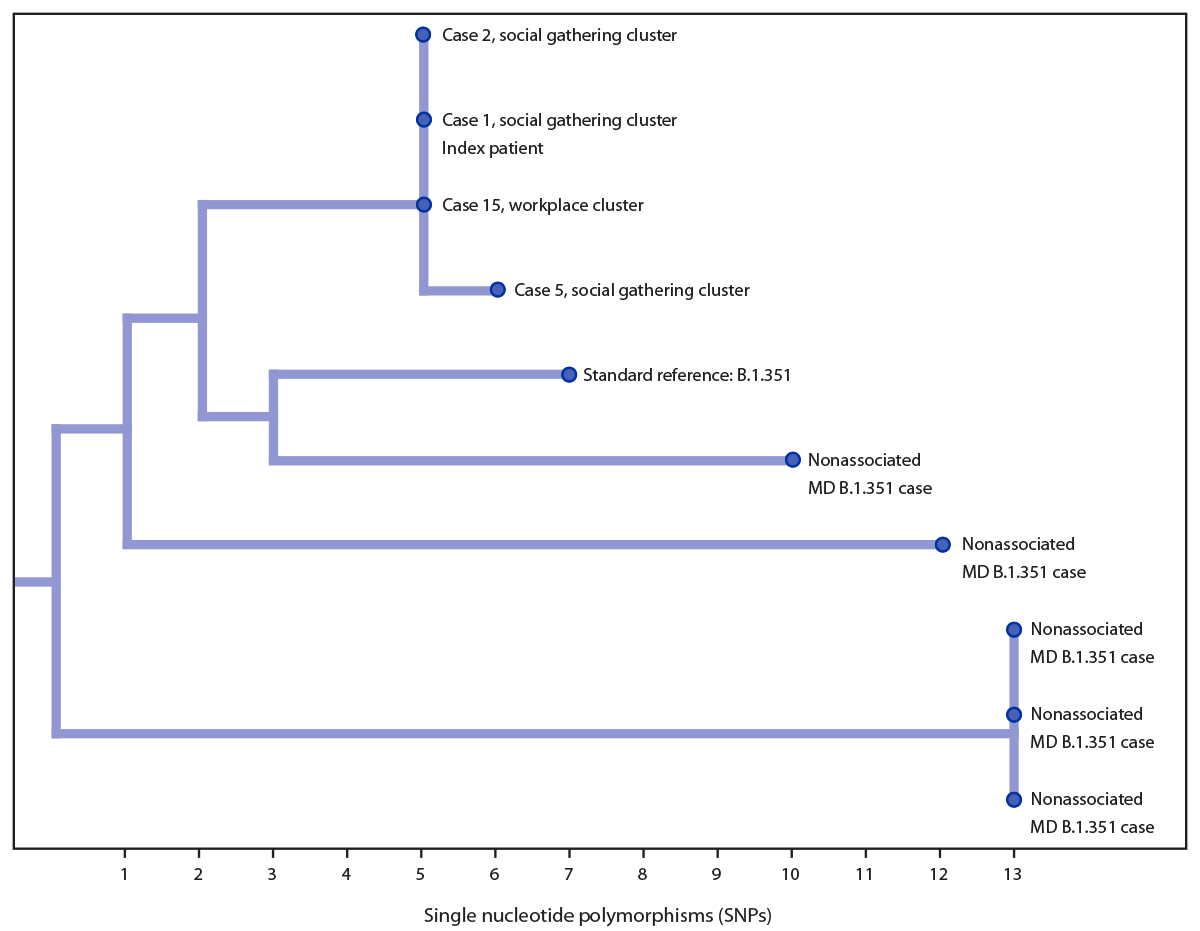 Linked Clusters of SARS-CoV-2 Variant B.1.351 — Maryland, January–February 2021 The figure is a diagram of a phylogenetic tree of four investigation-associated B.1.351 lineage specimens and five other non–investigation-associated B.1.351 specimens sequenced during January–February 2021, from patients who were residents of Maryland.