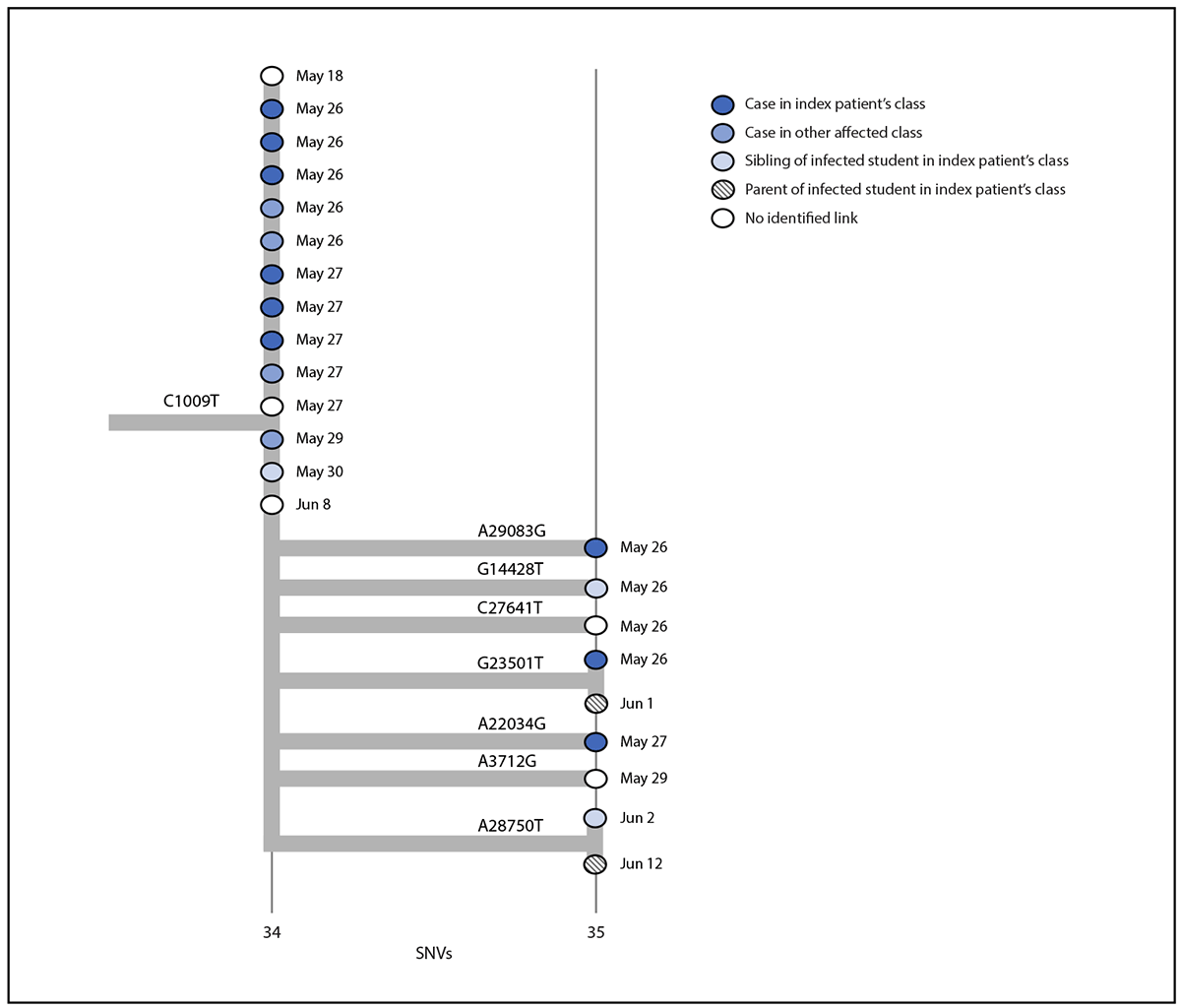 Outbreak Associated with SARS-CoV-2 B.1.617.2 (Delta) Variant in an Elementary School — Marin County, California, May–June 2021 Figure is a phylogenetic tree of SARS-CoV-2 whole genome sequences and specimen collection dates from a COVID-19 outbreak in an elementary school in Marin County, California, during May–June 2021.