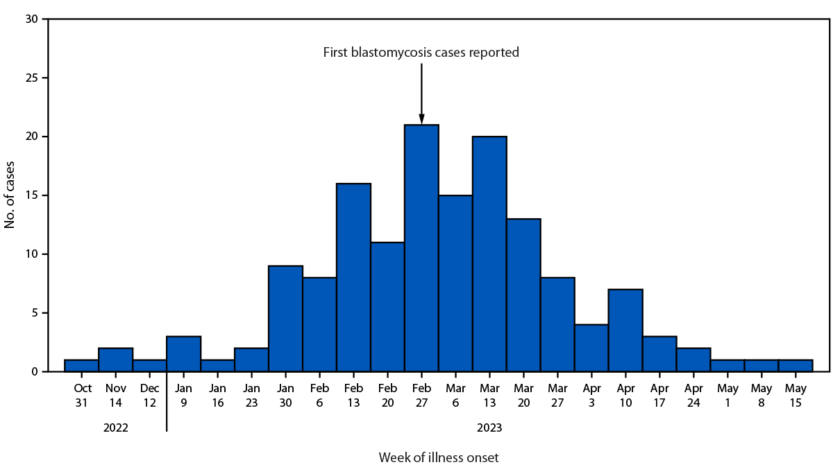 Outbreak of Blastomycosis Among Paper Mill Workers — Michigan, November 2022–May 2023 Figure is a histogram depicting blastomycosis cases, by week of illness onset, among 162 workers at a paper mill in Michigan, during November 1, 2022–May 15, 2023.