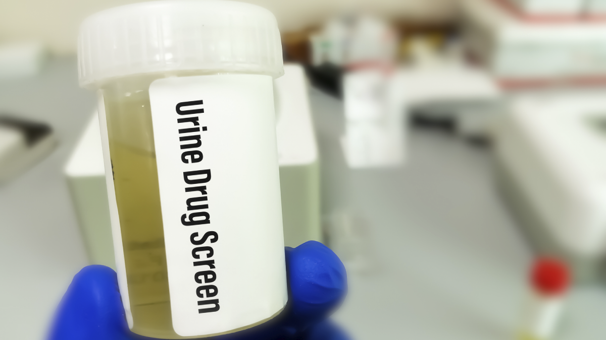 The image shows the contents of a naloxone kit.