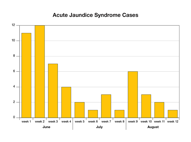 An epi curve shows the number of cases over a 3-month period of time. During the first month, cases briefly increase, then taper off as WASH projects are implemented, but 2 months later clusters of cases start to pop up again. In June, week one, 11 cases. Week 2, 12 cases, Week 3, 7 cases, Week 4, 4 cases. In July, week 5, 2 cases. Week 6, 1 case, Week 7, 3 cases, Week 8, 1 case. In August, week 9, 6 cases. Week 10, 3 cases, Week 11, 2 cases, Week 12, 1 case
