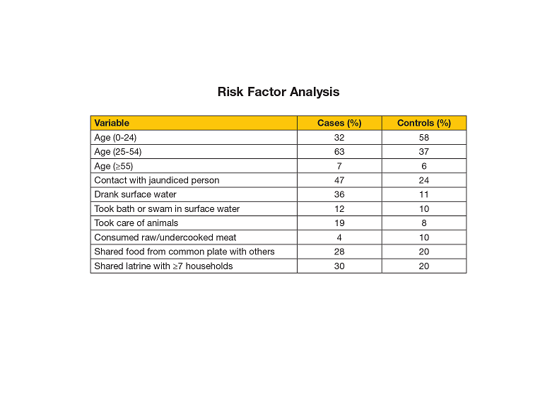 A table comparing risk factors for cases and controls. The results show that adults between 25-54 years old were more likely to get sick. Other interesting results include cases were more likely to have contact with other sick people, take care of animals, or share latrines. Age (0-24), 32 percent of cases, 58 percent of controls. Age (25-54), 63 percent of cases, 37 percent of controls. Age (over 55), 7 percent of cases, 6 percent of controls. Contact with a jaundiced person, 47 percent of cases, 24 percent of controls. Drank surface water, 36 percent of cases, 11 percent of controls. Took a bath or swam in surface water, 12 percent of cases, 10 percent of controls. Took care of animals, 19 percent of cases, 8 percent of controls. Consumed raw/undercooked meat, 4 percent of cases, 10 percent of controls. Shared food from a common plate with others, 28 percent of cases, 20 percent of controls. Shared latrine with more than 7 households, 30 percent of cases, 20 percent of controls.