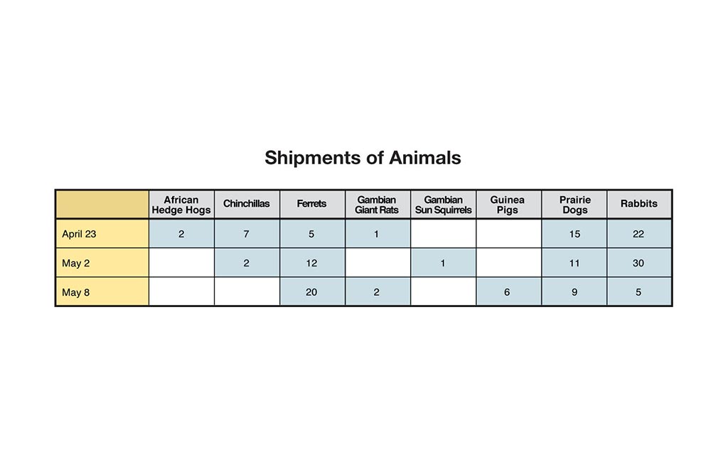 Shipments of animals. April 23: 2 African hedge hogs, 7 chinchillas, 5 ferrets, 1 Gambian giant rat, 15 prairie dogs, 22 rabbits. May 2: 2 chinchillas, 12 ferrets, 1 Gambian sun squirrel, 11 prairie dogs, 30 rabbits. May 8: 20 ferrets, 2 Gambian giant rats, 6 guinea pigs, 9 prairie dogs, 5 rabbits.